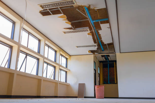 Best Mold removal after water damage  in Maize, KS