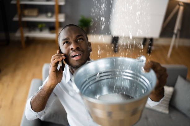Best Water damage restoration specialists  in Maize, KS
