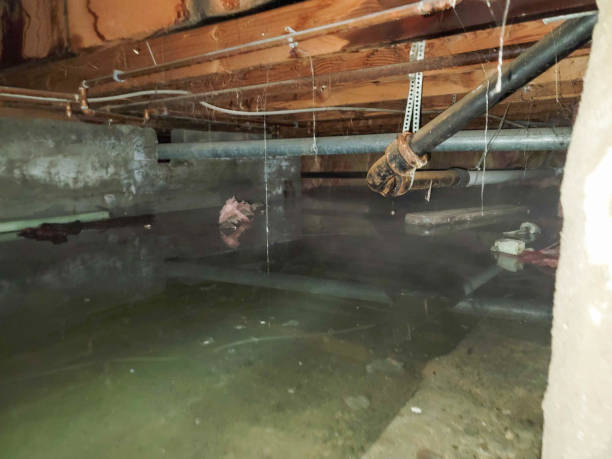 Best Water damage restoration near me  in Maize, KS