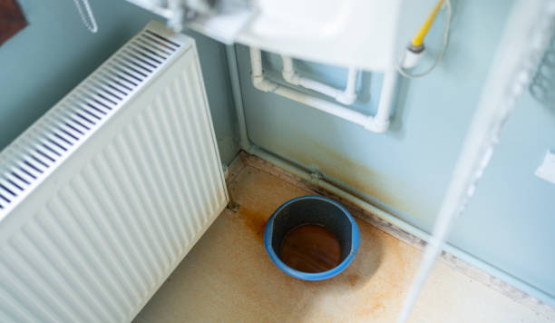 Best Professional water damage repair  in Maize, KS