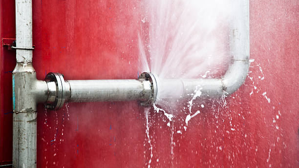 Best Water damage restoration mold remediation  in Maize, KS