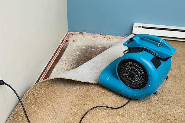 Best Emergency water damage restoration  in Maize, KS